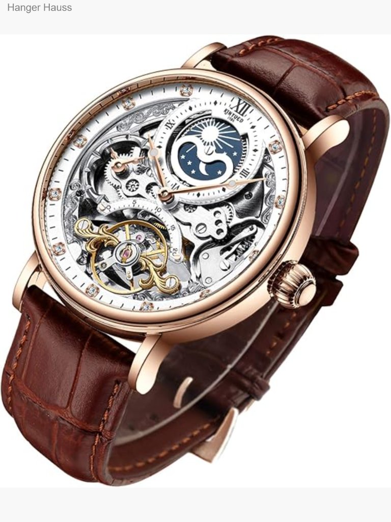 Luxury Skeleton Automatic Mechanical Wrist Watch Leather Moon Phase Luminous
